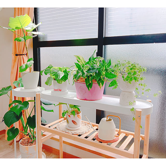 yuyuさんの部屋