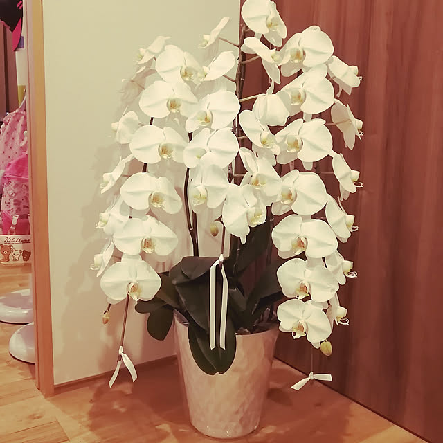 jun0219さんの実例写真