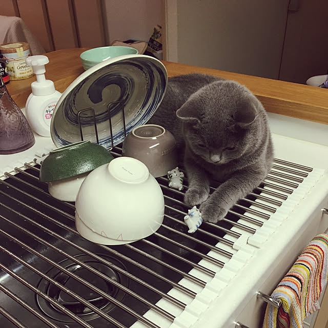 kittyさんの実例写真