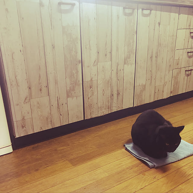 keiko.goma.3571さんの実例写真