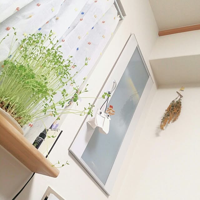 cccさんの実例写真