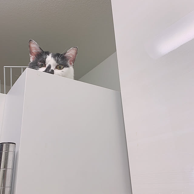 orihikoさんの実例写真
