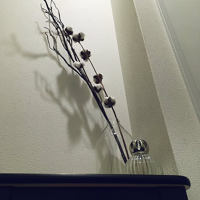raraさんの実例写真