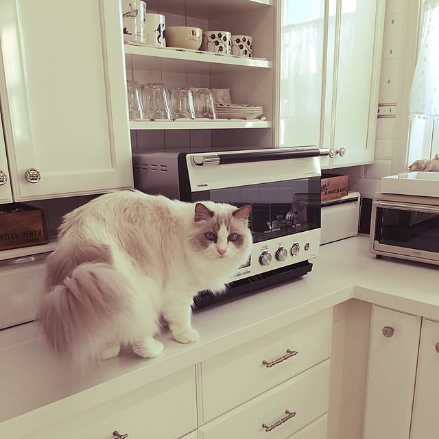 yuchiさんの実例写真