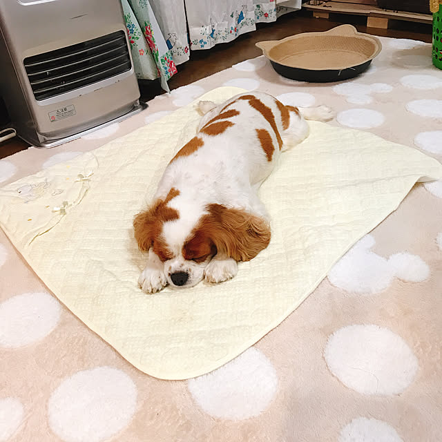 pepeさんの実例写真