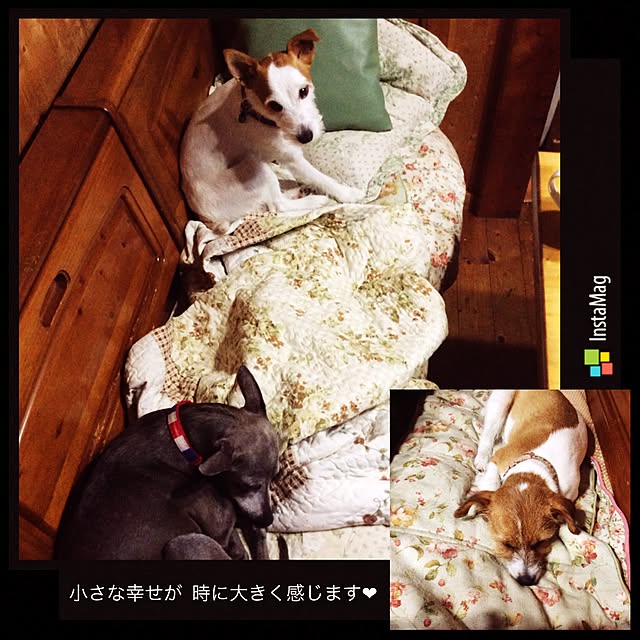 20rose_mamiさんの実例写真
