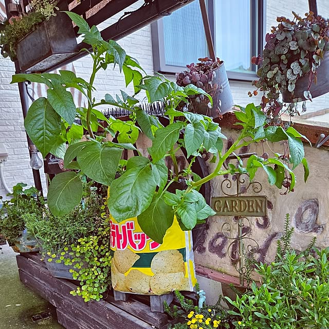 mocomocoさんの部屋