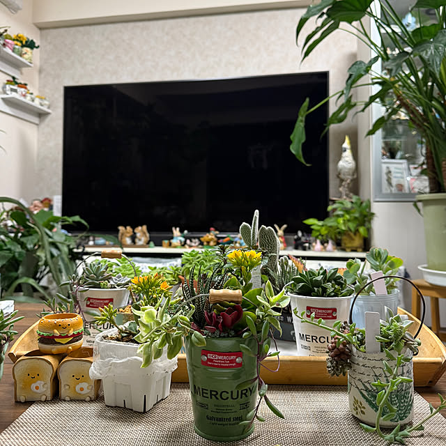 Aqettyさんの実例写真