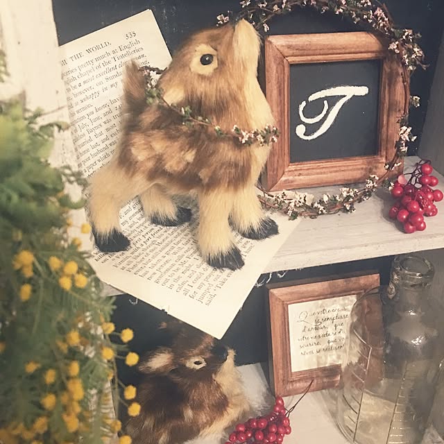 takaさんの実例写真