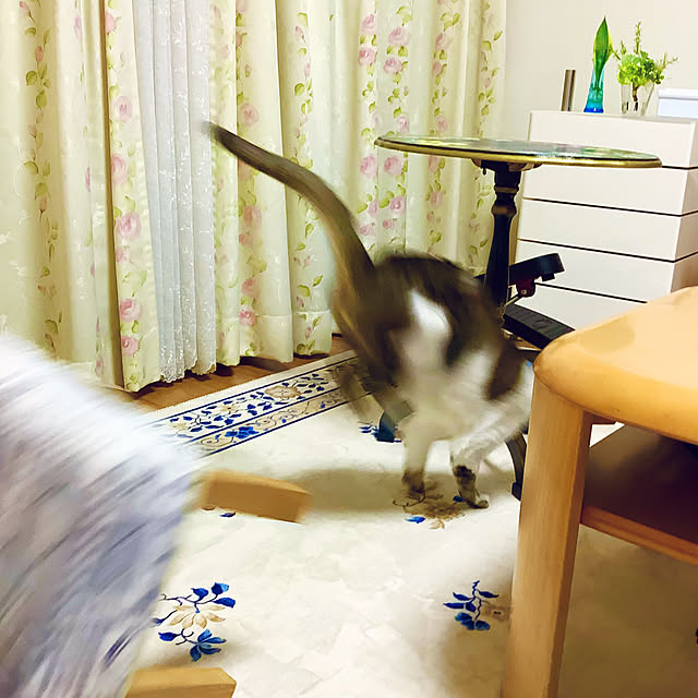 haruminさんの部屋
