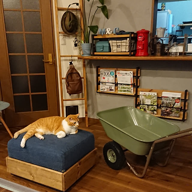 taka-kiさんの実例写真