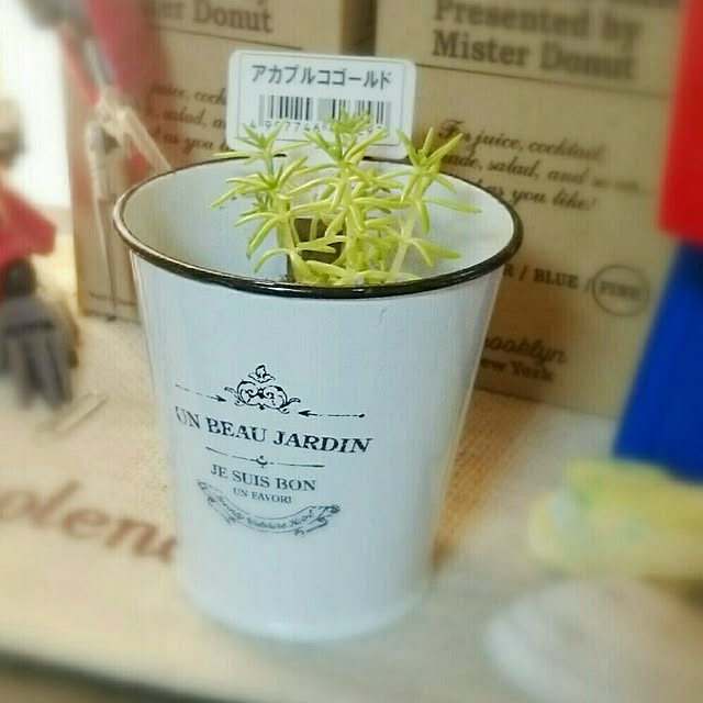 yuriaさんの実例写真