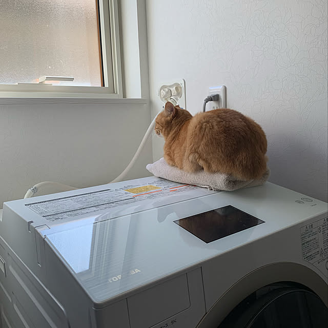 mikeume7さんの実例写真