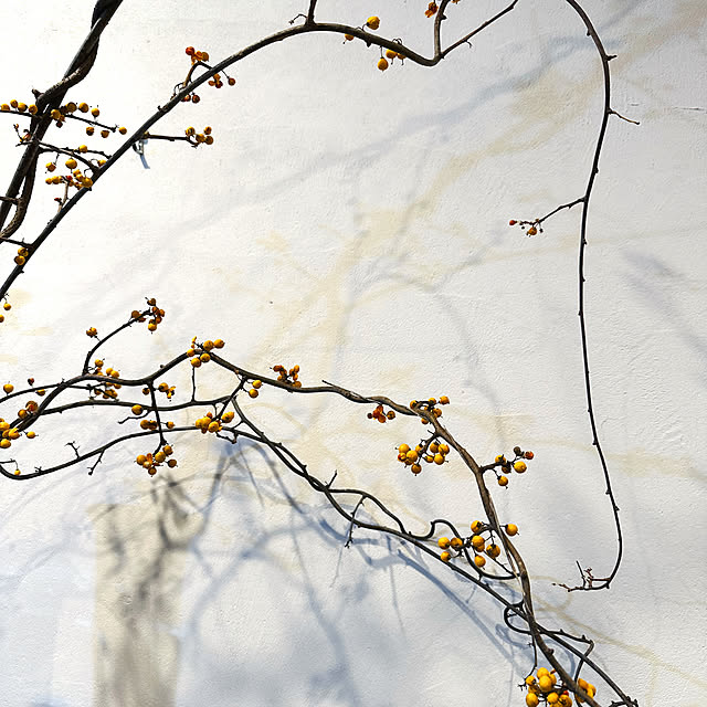 hanahana1444さんの部屋