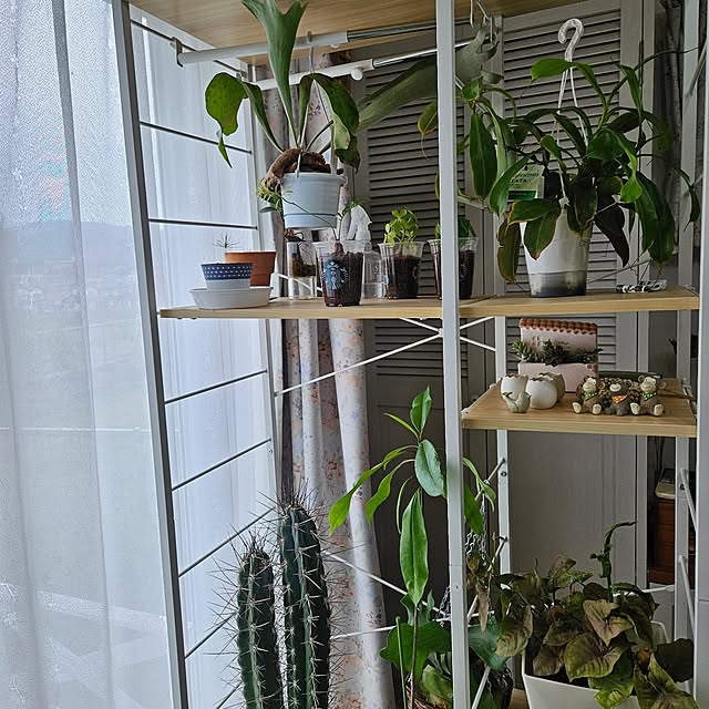 mayumiさんの部屋