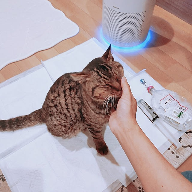 kirakirahikaruさんの実例写真
