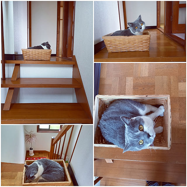 rhuさんの実例写真
