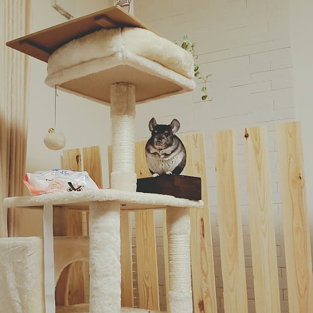 yoshihiroさんの実例写真