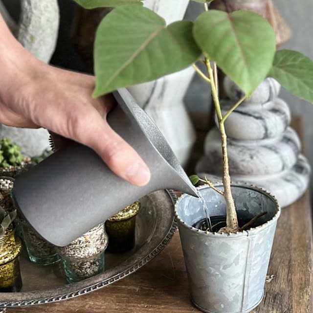 Royal_Gardeners_Clubさんの部屋