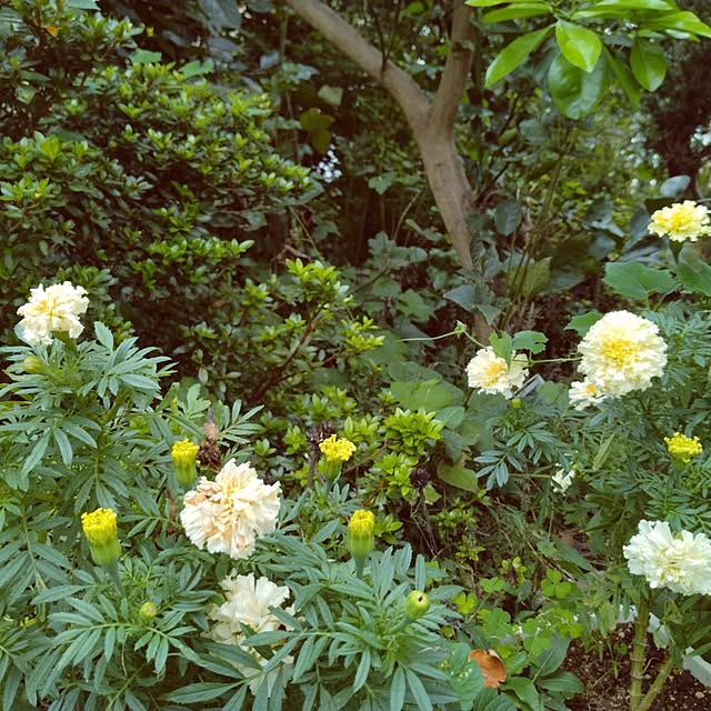keikoさんの部屋