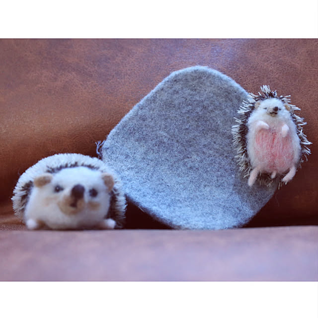 Chikakoさんの実例写真