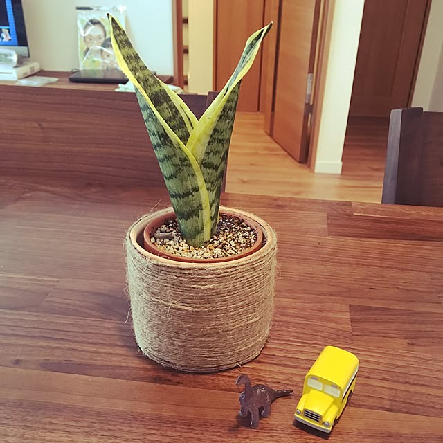 green75さんの実例写真