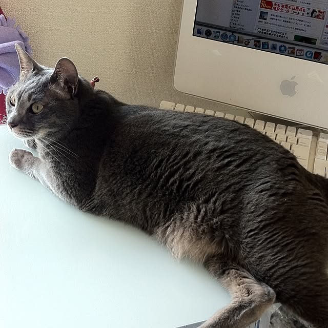 Rieさんの実例写真