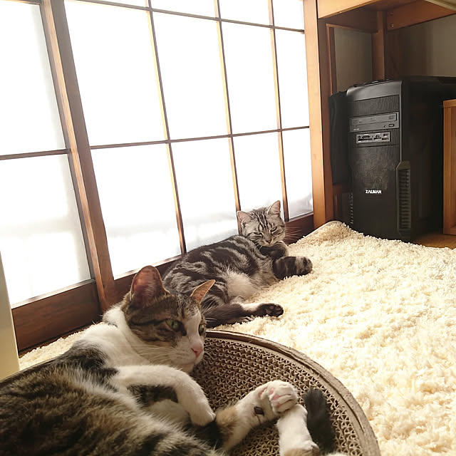 minoppi1964さんの実例写真