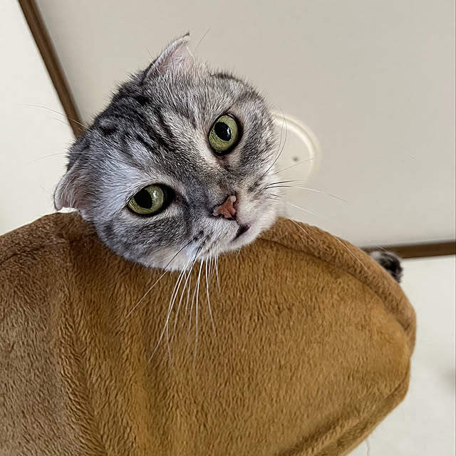 kuuさんの実例写真