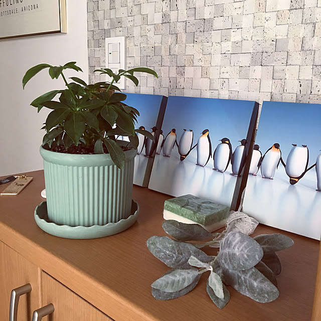 puriyuzuさんの実例写真