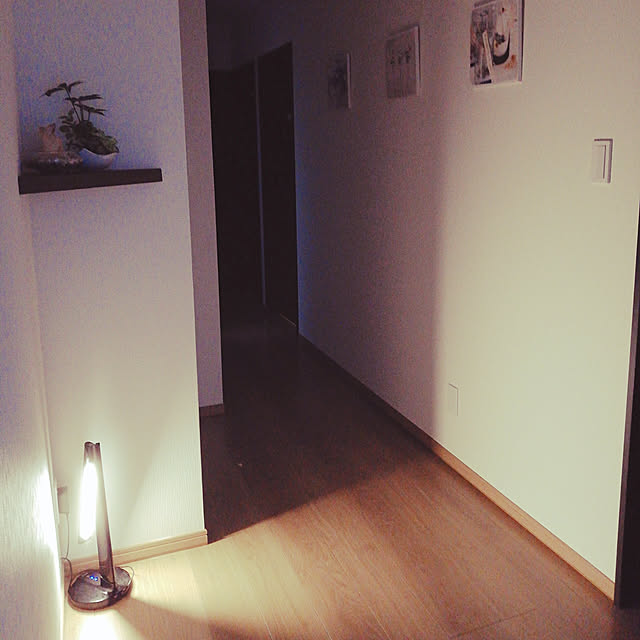 soramameさんの実例写真