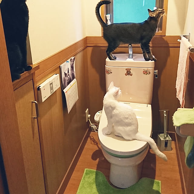 Stainさんの実例写真