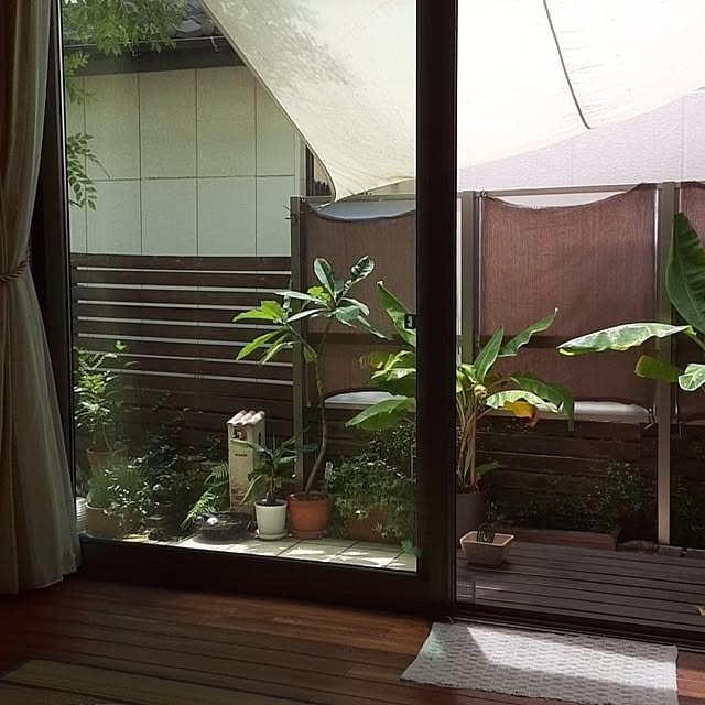 oziさんの実例写真