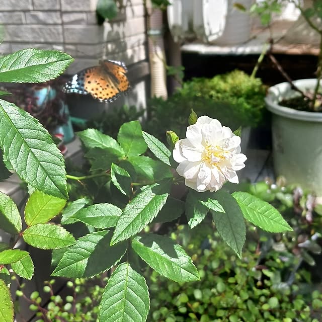 aiさんの部屋