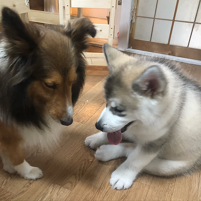 miiさんの実例写真