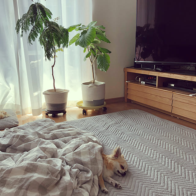 umiさんの実例写真