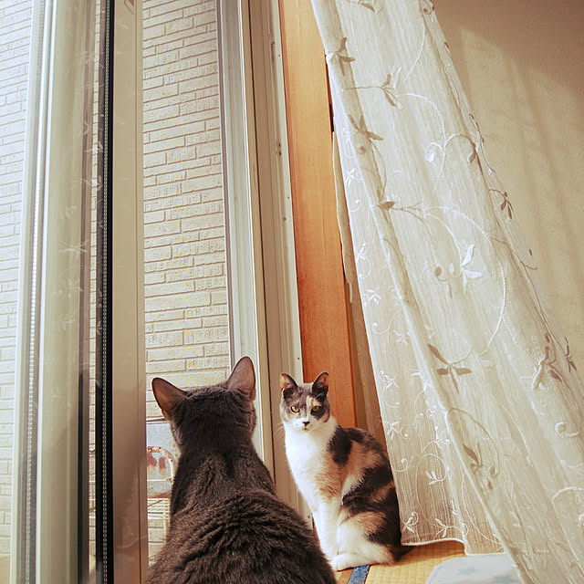tomo1220さんの実例写真