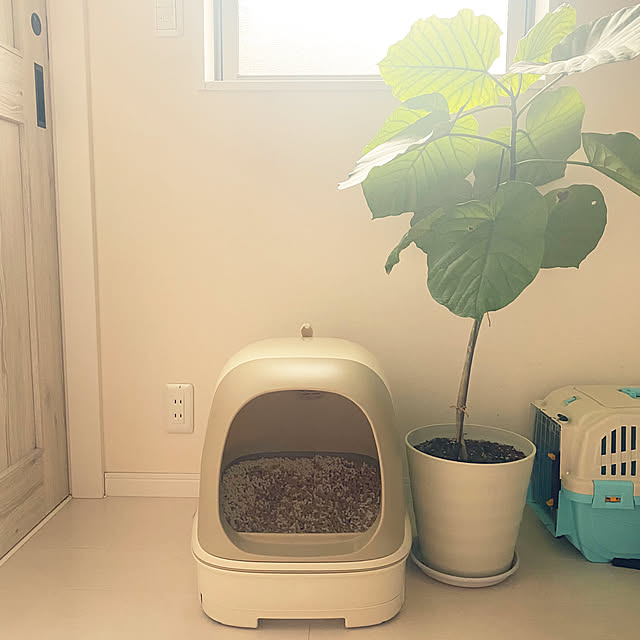 mmeeronさんの部屋
