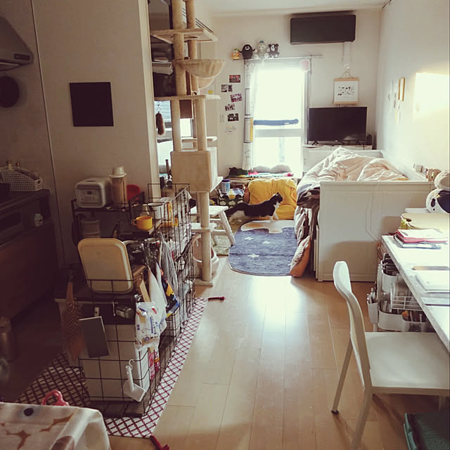 Asakiさんの実例写真