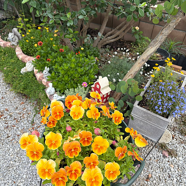 ronronさんの部屋