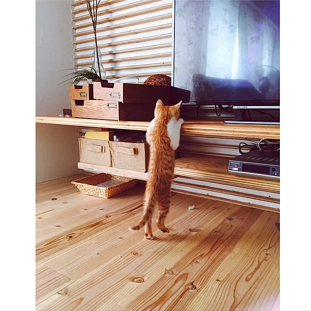yuyushoさんの実例写真