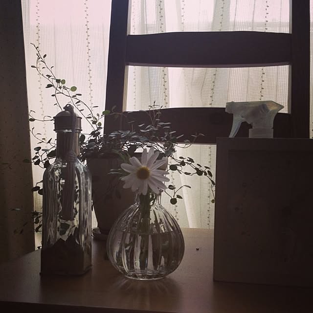 棚のインテリア実例 - 2013-03-03 13:37:21
