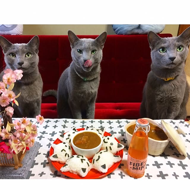 roshi3さんの実例写真