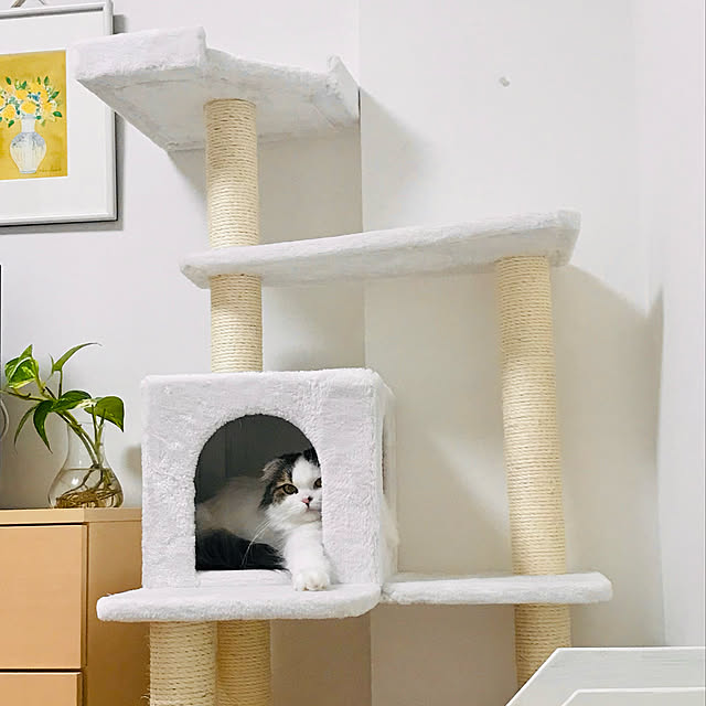 m.の-【Mauタワープルミエ】キャットタワー 据え置き 子猫 シニア猫 ハンモック取付可 スリム 省スペース 多頭飼い 白 爪とぎ 麻縄 交換 安定 猫タワー シンプルの家具・インテリア写真