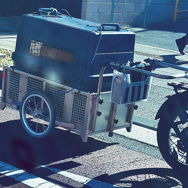 chacoさんの部屋