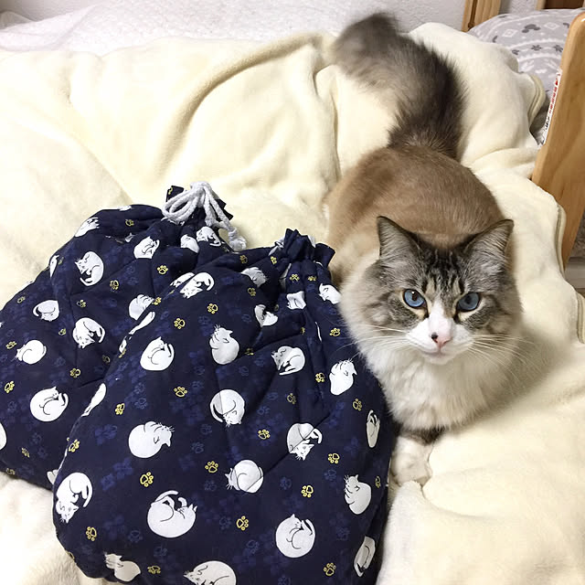 masyacanonさんの実例写真