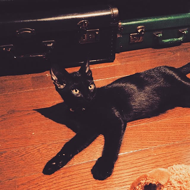 Naoki.さんの実例写真