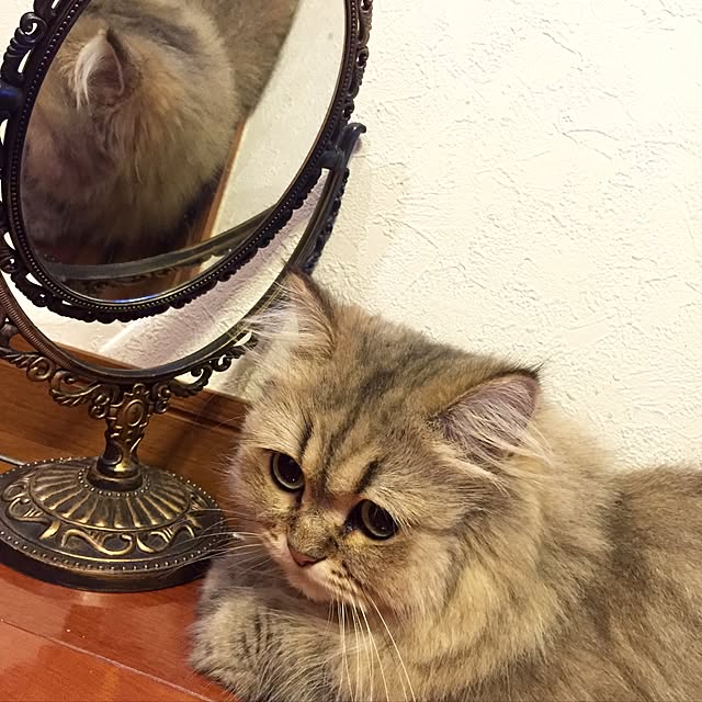 butachanさんの実例写真