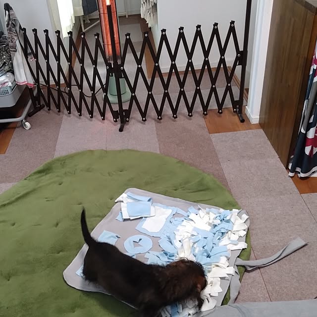 chocococoaさんの部屋