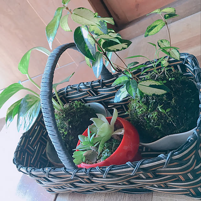 earthさんの実例写真